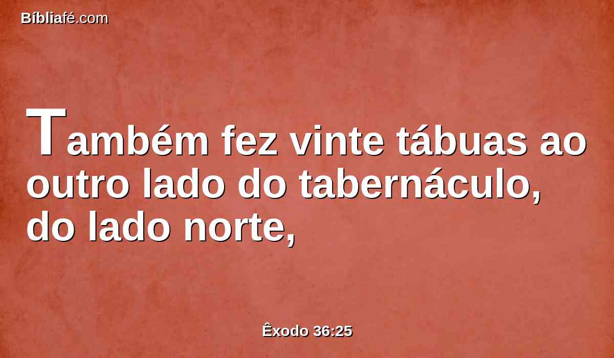 Também fez vinte tábuas ao outro lado do tabernáculo, do lado norte,