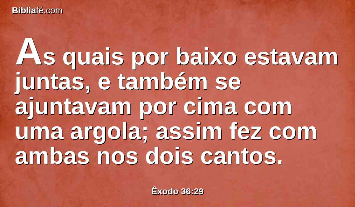 As quais por baixo estavam juntas, e também se ajuntavam por cima com uma argola; assim fez com ambas nos dois cantos.