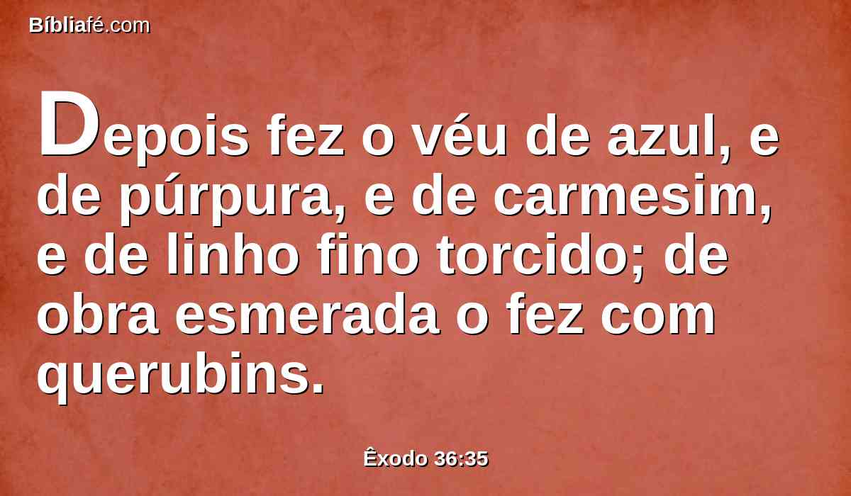 Depois fez o véu de azul, e de púrpura, e de carmesim, e de linho fino torcido; de obra esmerada o fez com querubins.