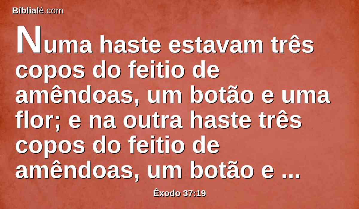 Numa haste estavam três copos do feitio de amêndoas, um botão e uma flor; e na outra haste três copos do feitio de amêndoas, um botão e uma flor; assim eram as seis hastes que saíam do candelabro.