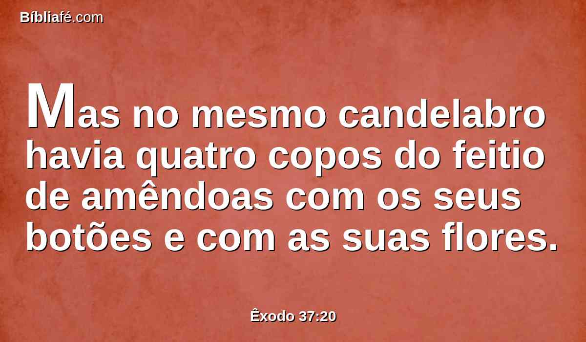 Mas no mesmo candelabro havia quatro copos do feitio de amêndoas com os seus botões e com as suas flores.