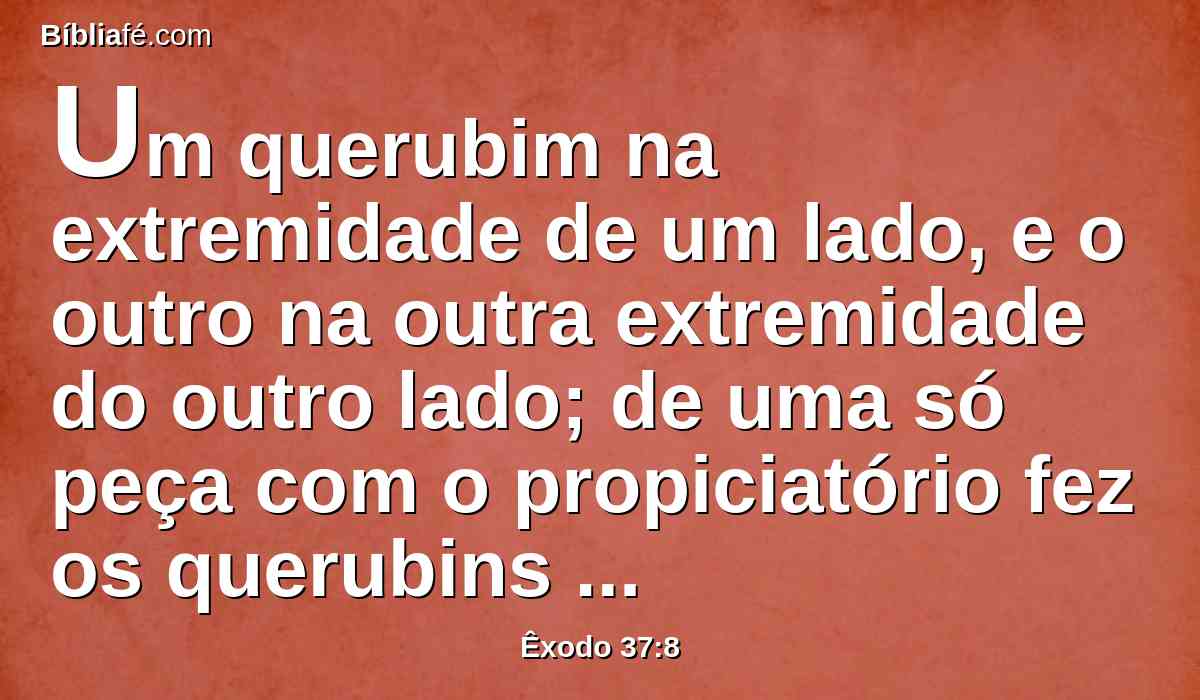 Um querubim na extremidade de um lado, e o outro na outra extremidade do outro lado; de uma só peça com o propiciatório fez os querubins nas duas extremidades dele.