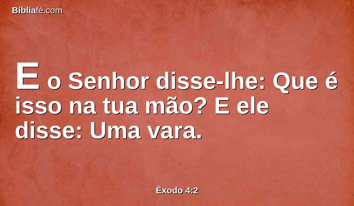 E o Senhor disse-lhe: Que é isso na tua mão? E ele disse: Uma vara.