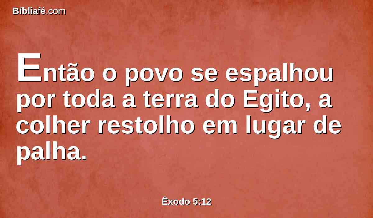 Então o povo se espalhou por toda a terra do Egito, a colher restolho em lugar de palha.