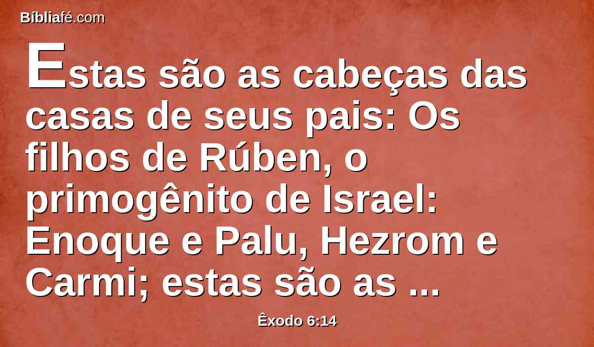 Estas são as cabeças das casas de seus pais: Os filhos de Rúben, o primogênito de Israel: Enoque e Palu, Hezrom e Carmi; estas são as famílias de Rúben.