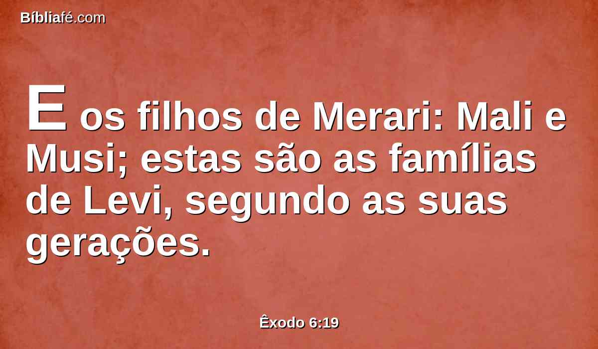 E os filhos de Merari: Mali e Musi; estas são as famílias de Levi, segundo as suas gerações.