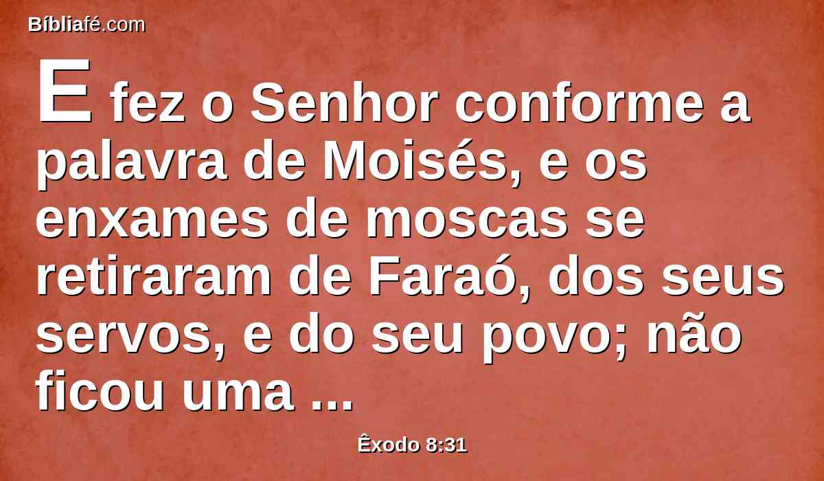 E fez o Senhor conforme a palavra de Moisés, e os enxames de moscas se retiraram de Faraó, dos seus servos, e do seu povo; não ficou uma só.