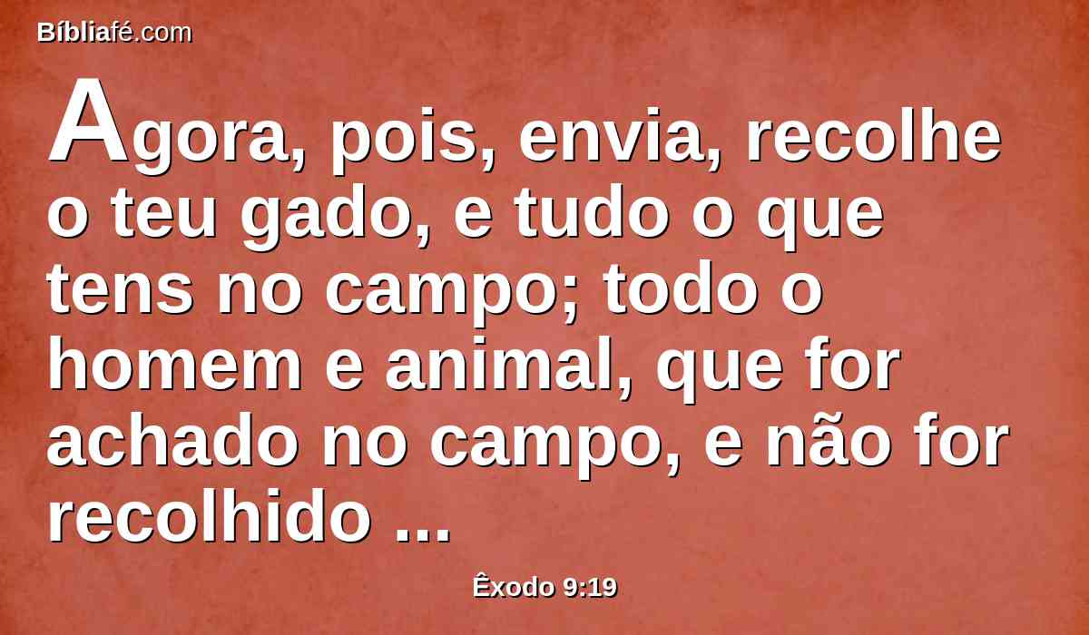 Agora, pois, envia, recolhe o teu gado, e tudo o que tens no campo; todo o homem e animal, que for achado no campo, e não for recolhido à casa, a saraiva cairá sobre eles, e morrerão.