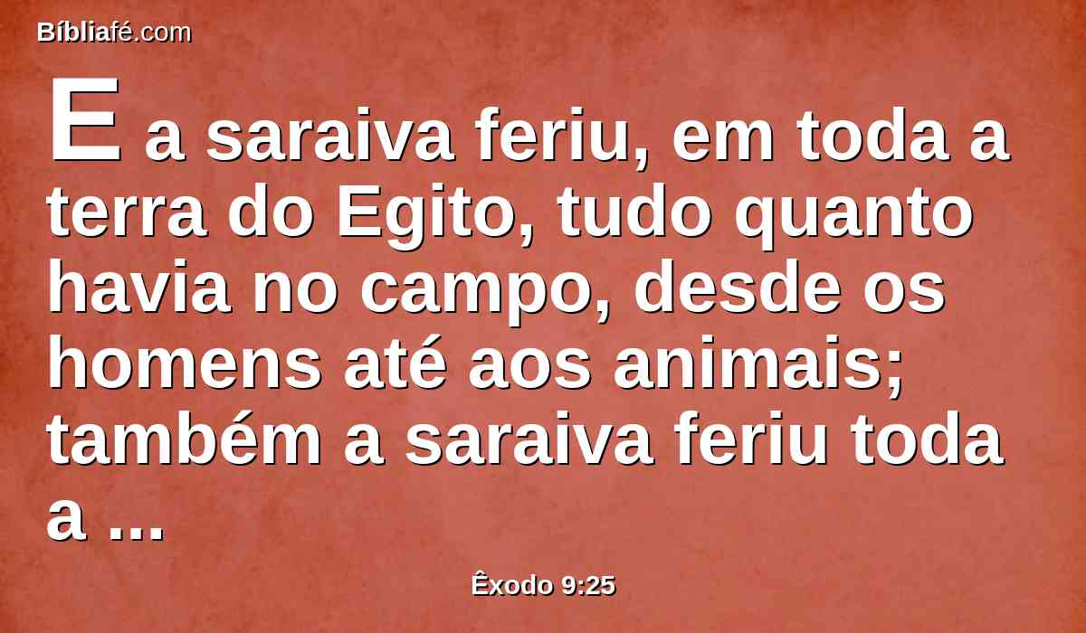 E a saraiva feriu, em toda a terra do Egito, tudo quanto havia no campo, desde os homens até aos animais; também a saraiva feriu toda a erva do campo, e quebrou todas as árvores do campo.