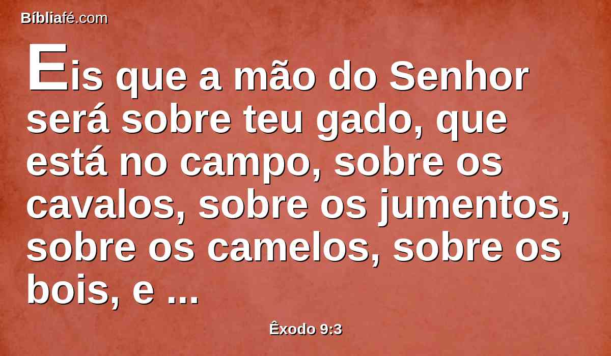 Eis que a mão do Senhor será sobre teu gado, que está no campo, sobre os cavalos, sobre os jumentos, sobre os camelos, sobre os bois, e sobre as ovelhas, com pestilência gravíssima.