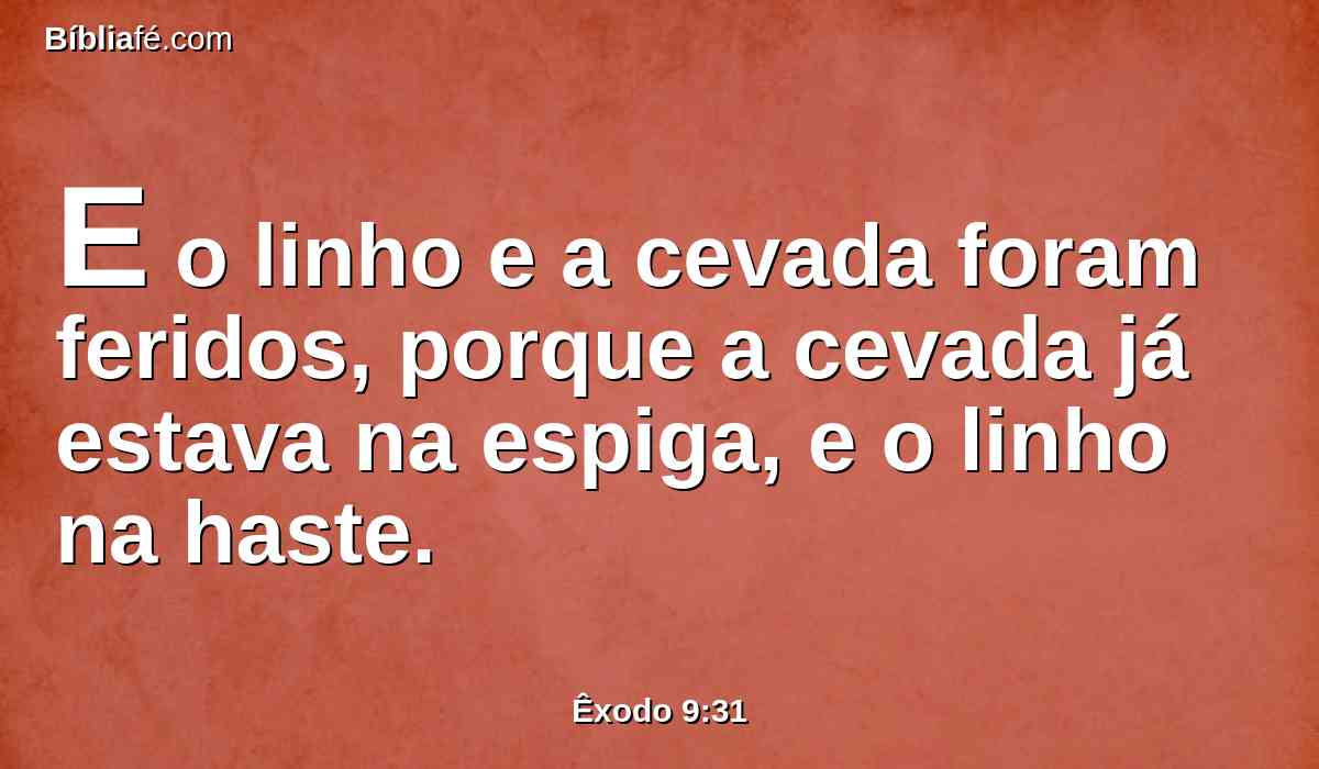 E o linho e a cevada foram feridos, porque a cevada já estava na espiga, e o linho na haste.