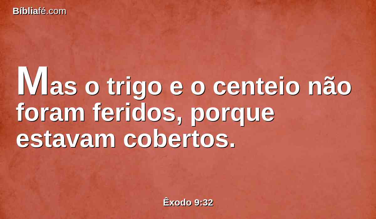 Mas o trigo e o centeio não foram feridos, porque estavam cobertos.