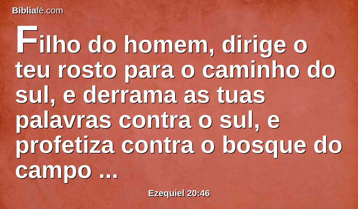 Filho do homem, dirige o teu rosto para o caminho do sul, e derrama as tuas palavras contra o sul, e profetiza contra o bosque do campo do sul.