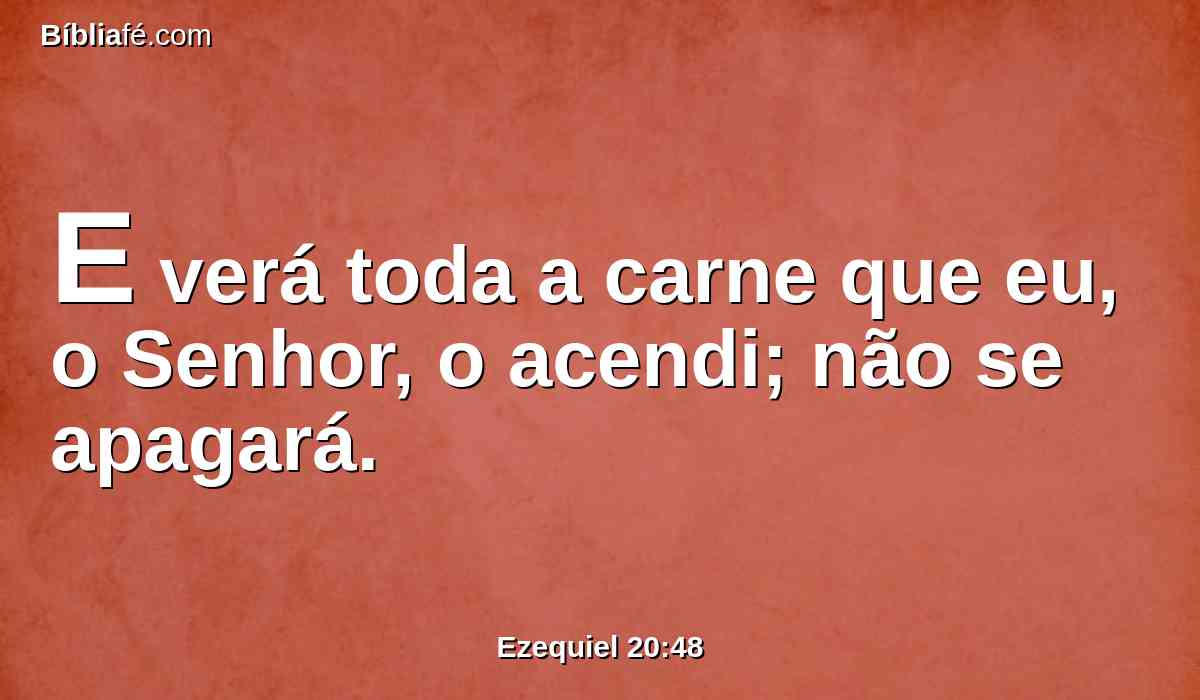 E verá toda a carne que eu, o Senhor, o acendi; não se apagará.