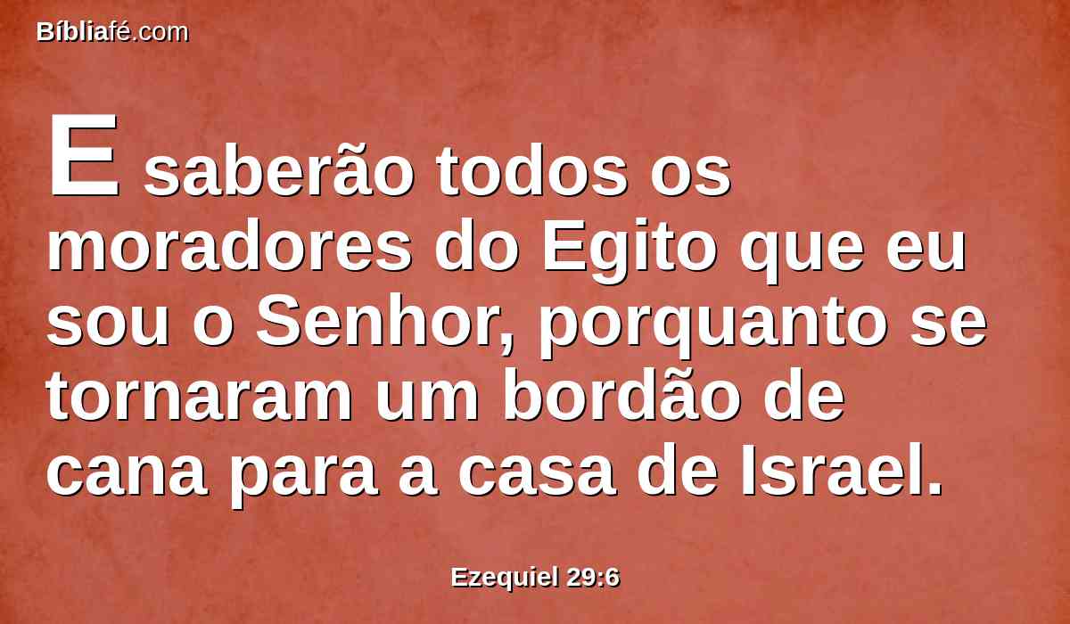 E saberão todos os moradores do Egito que eu sou o Senhor, porquanto se tornaram um bordão de cana para a casa de Israel.