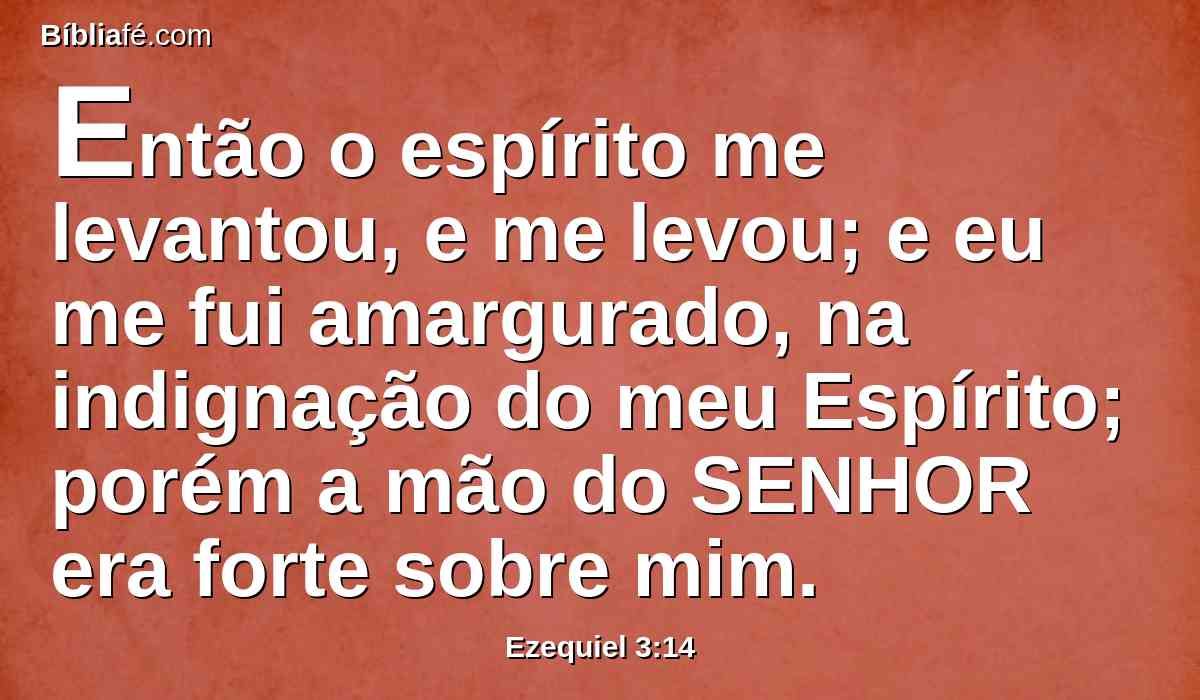 Então o espírito me levantou, e me levou; e eu me fui amargurado, na indignação do meu Espírito; porém a mão do SENHOR era forte sobre mim.
