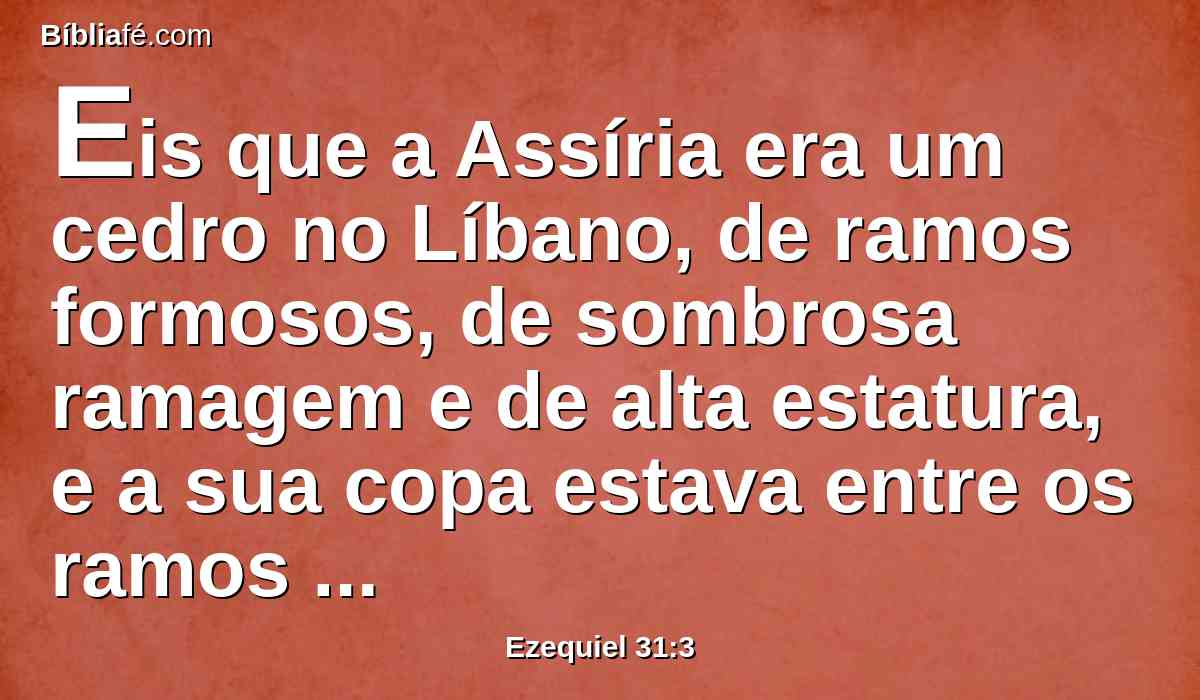 Eis que a Assíria era um cedro no Líbano, de ramos formosos, de sombrosa ramagem e de alta estatura, e a sua copa estava entre os ramos espessos.