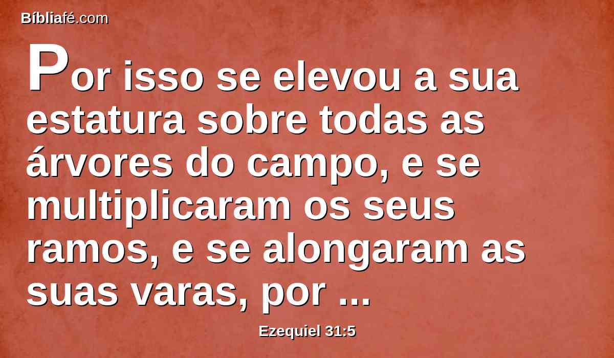 Por isso se elevou a sua estatura sobre todas as árvores do campo, e se multiplicaram os seus ramos, e se alongaram as suas varas, por causa das muitas águas quando brotava.