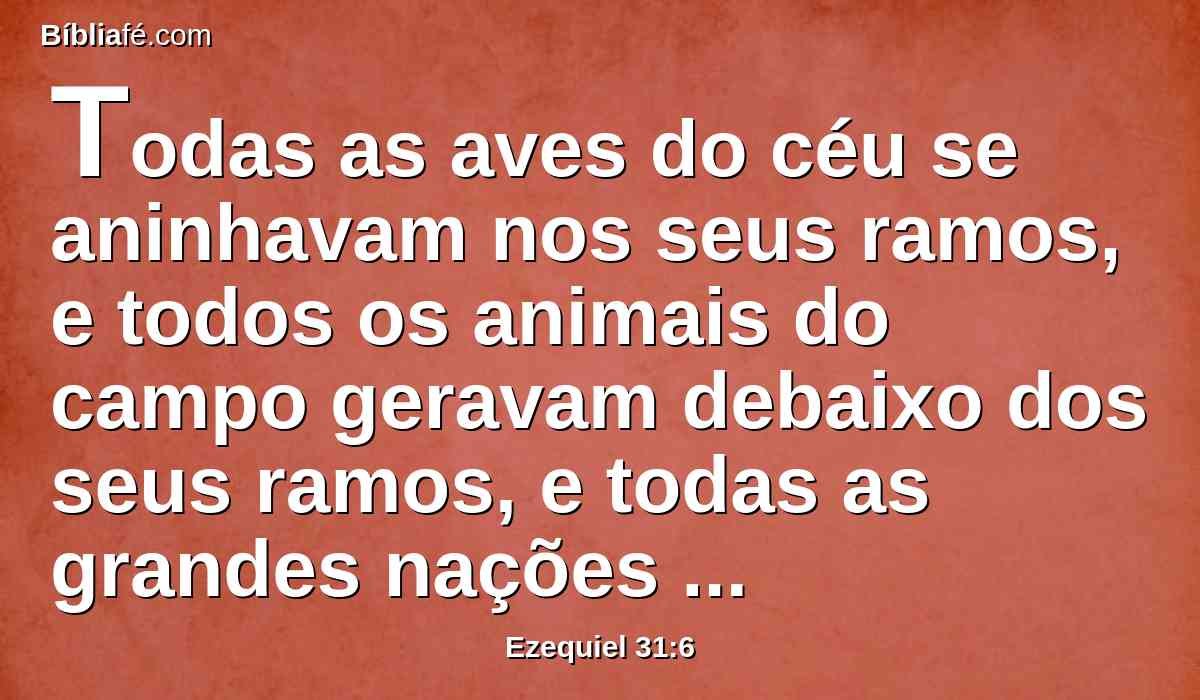 Todas as aves do céu se aninhavam nos seus ramos, e todos os animais do campo geravam debaixo dos seus ramos, e todas as grandes nações habitavam à sua sombra.