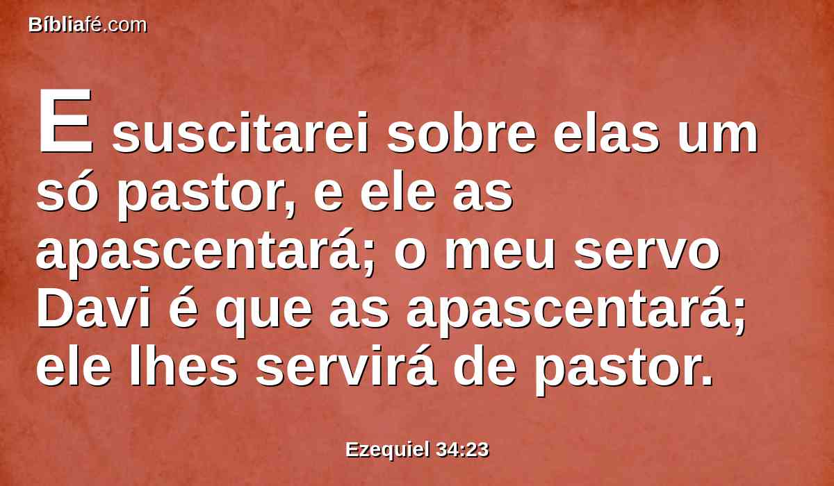 E suscitarei sobre elas um só pastor, e ele as apascentará; o meu servo Davi é que as apascentará; ele lhes servirá de pastor.