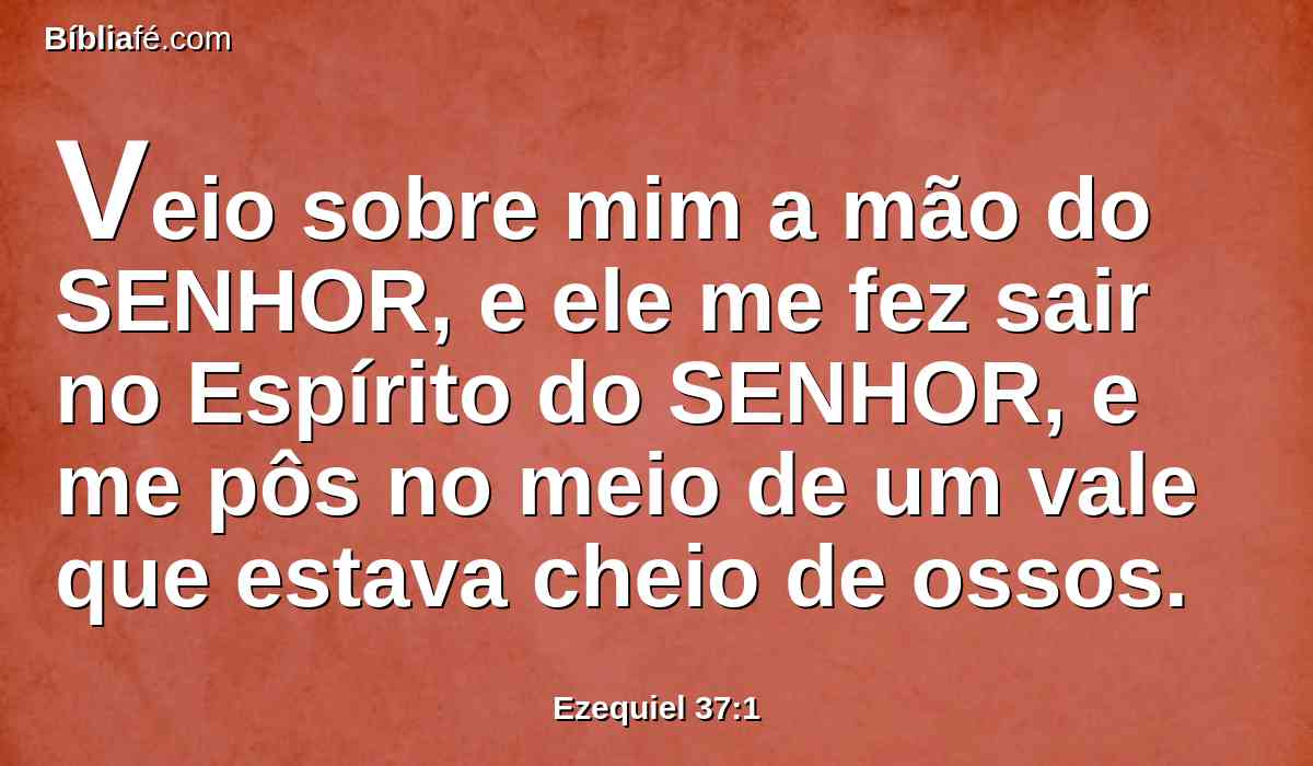 Veio sobre mim a mão do SENHOR, e ele me fez sair no Espírito do SENHOR, e me pôs no meio de um vale que estava cheio de ossos.