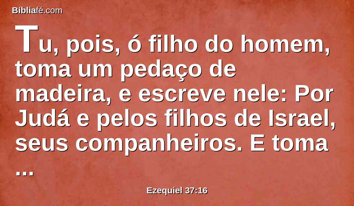 Tu, pois, ó filho do homem, toma um pedaço de madeira, e escreve nele: Por Judá e pelos filhos de Israel, seus companheiros. E toma outro pedaço de madeira, e escreve nele: Por José, vara de Efraim, e por toda a casa de Israel, seus companheiros.