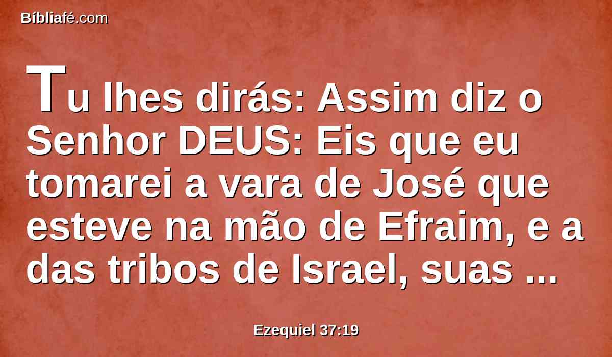 Tu lhes dirás: Assim diz o Senhor DEUS: Eis que eu tomarei a vara de José que esteve na mão de Efraim, e a das tribos de Israel, suas companheiras, e as ajuntarei à vara de Judá, e farei delas uma só vara, e elas se farão uma só na minha mão.