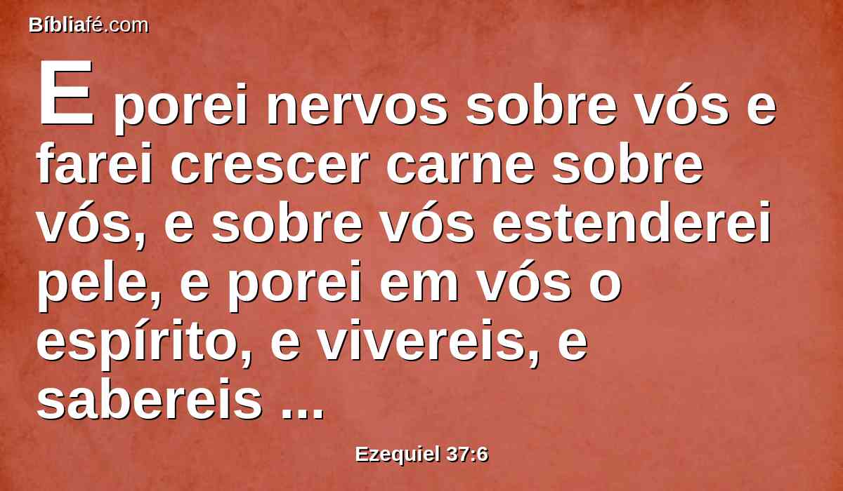 E porei nervos sobre vós e farei crescer carne sobre vós, e sobre vós estenderei pele, e porei em vós o espírito, e vivereis, e sabereis que eu sou o Senhor.