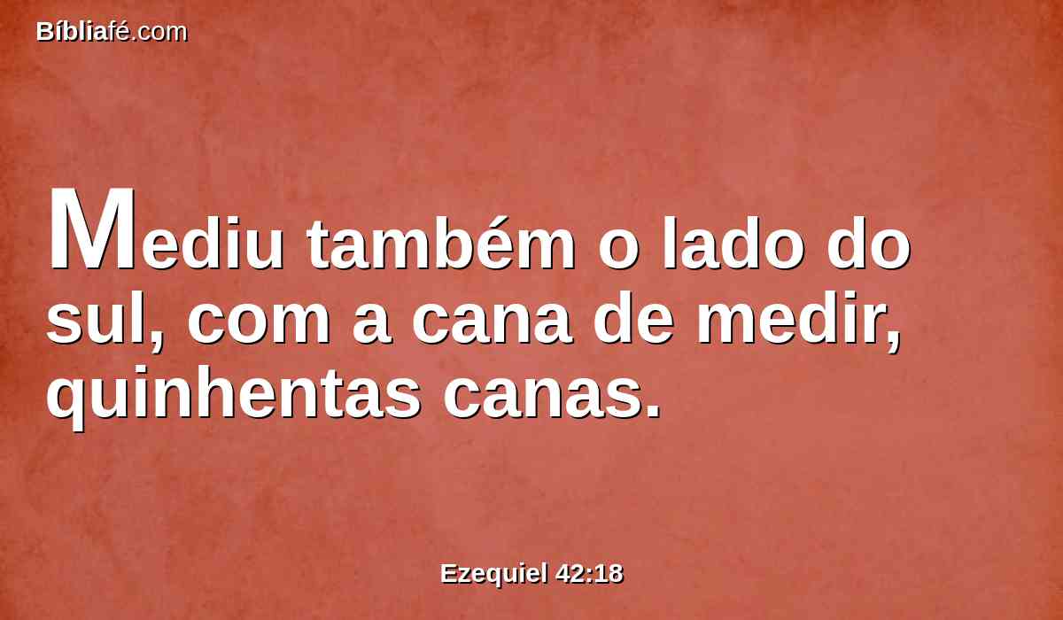 Mediu também o lado do sul, com a cana de medir, quinhentas canas.