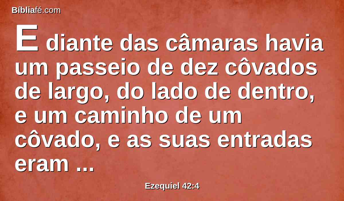 E diante das câmaras havia um passeio de dez côvados de largo, do lado de dentro, e um caminho de um côvado, e as suas entradas eram para o lado do norte.