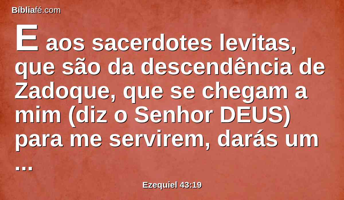 E aos sacerdotes levitas, que são da descendência de Zadoque, que se chegam a mim (diz o Senhor DEUS) para me servirem, darás um bezerro, para oferta pelo pecado.