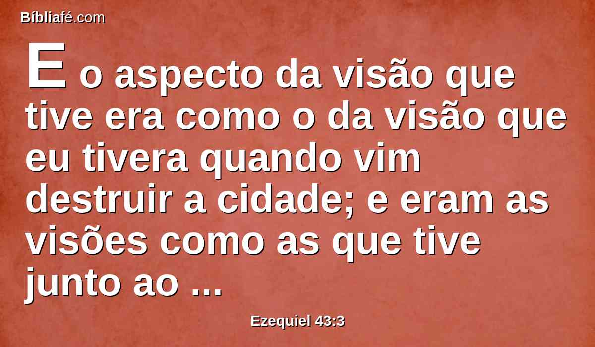 E o aspecto da visão que tive era como o da visão que eu tivera quando vim destruir a cidade; e eram as visões como as que tive junto ao rio Quebar; e caí sobre o meu rosto.