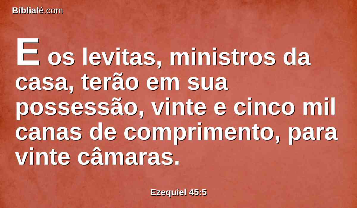 E os levitas, ministros da casa, terão em sua possessão, vinte e cinco mil canas de comprimento, para vinte câmaras.