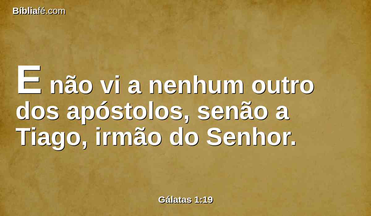 E não vi a nenhum outro dos apóstolos, senão a Tiago, irmão do Senhor.