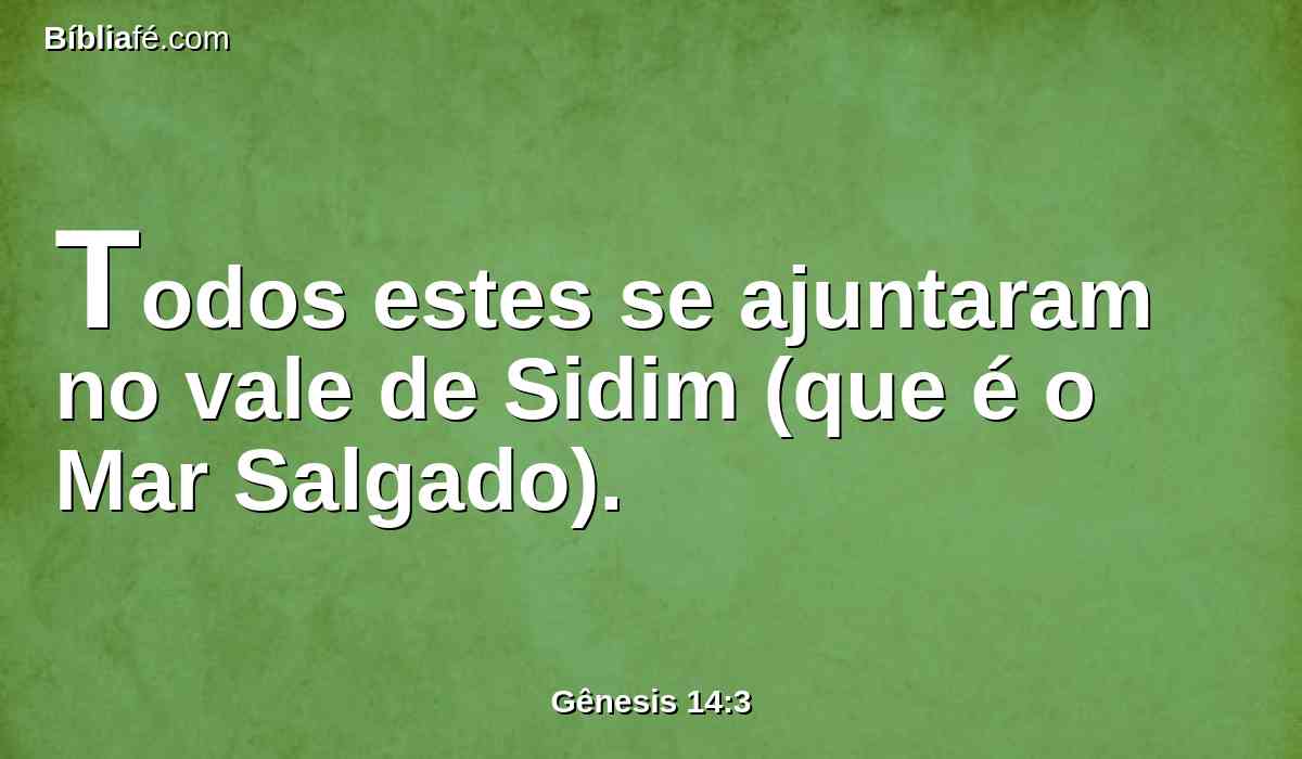 Todos estes se ajuntaram no vale de Sidim (que é o Mar Salgado).