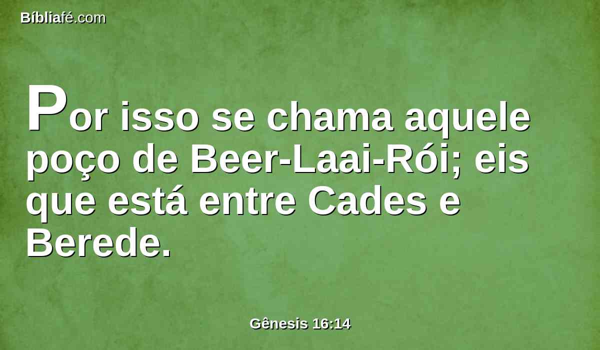Por isso se chama aquele poço de Beer-Laai-Rói; eis que está entre Cades e Berede.