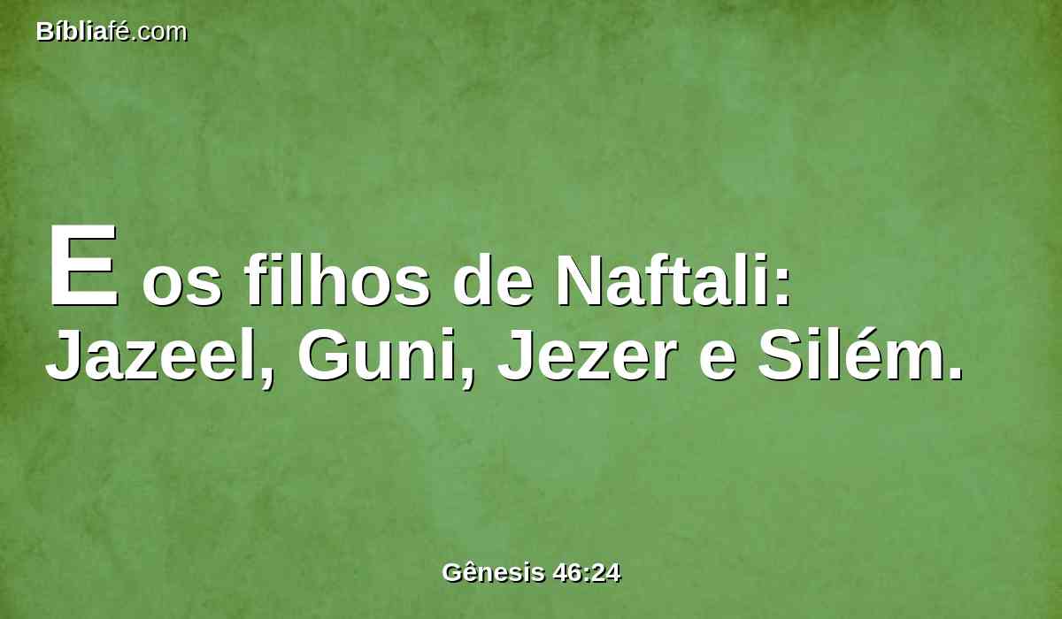 E os filhos de Naftali: Jazeel, Guni, Jezer e Silém.