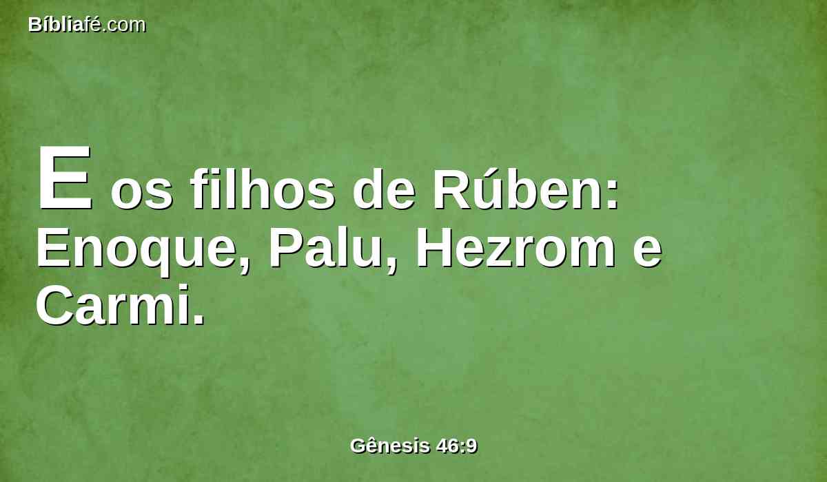 E os filhos de Rúben: Enoque, Palu, Hezrom e Carmi.