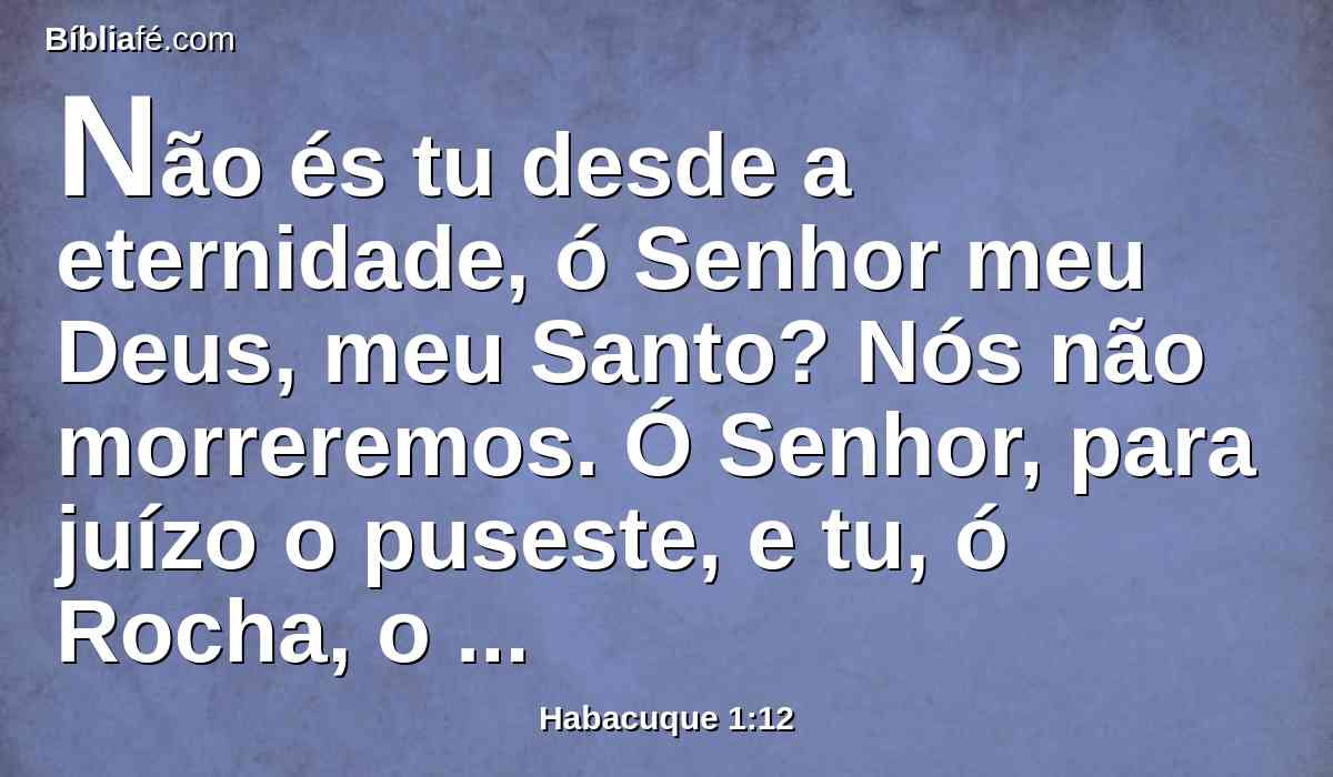 Não és tu desde a eternidade, ó Senhor meu Deus, meu Santo? Nós não morreremos. Ó Senhor, para juízo o puseste, e tu, ó Rocha, o fundaste para castigar.