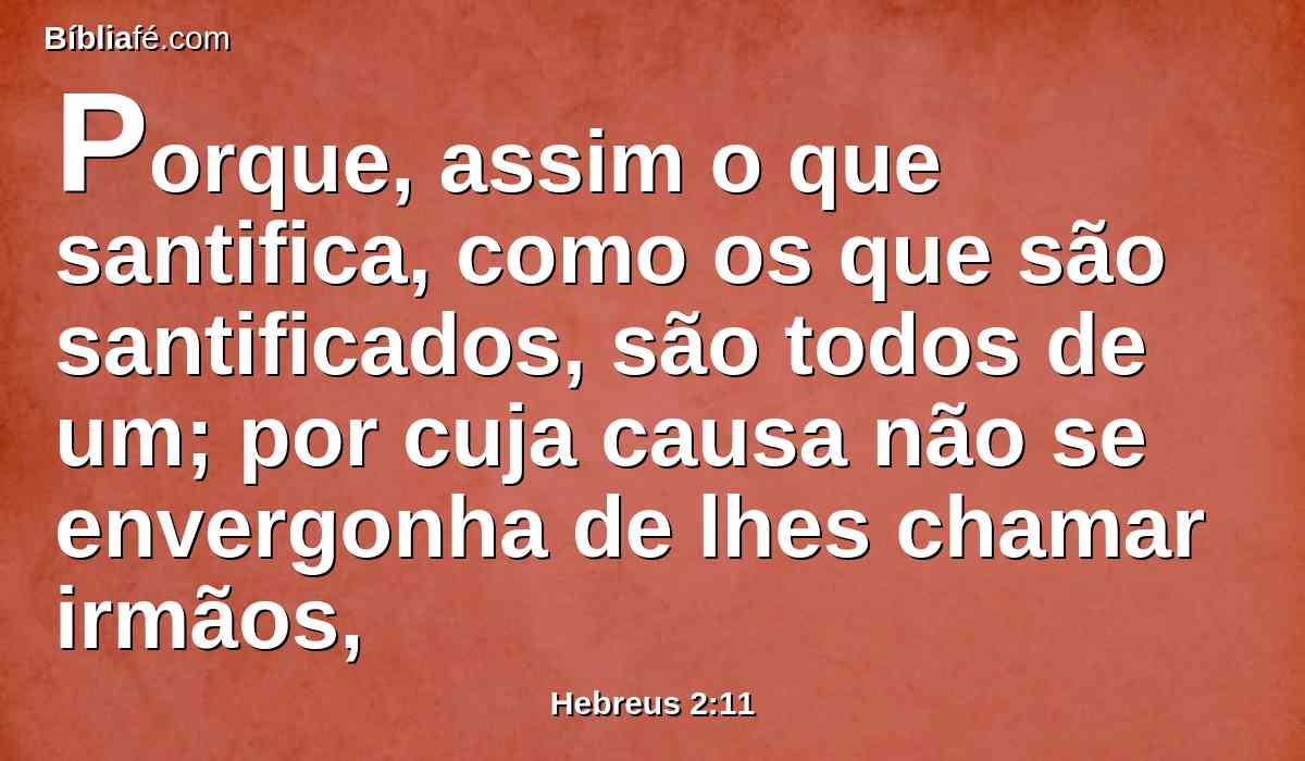 Porque, assim o que santifica, como os que são santificados, são todos de um; por cuja causa não se envergonha de lhes chamar irmãos,