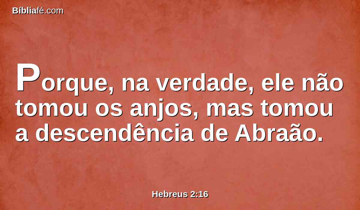 Porque, na verdade, ele não tomou os anjos, mas tomou a descendência de Abraão.