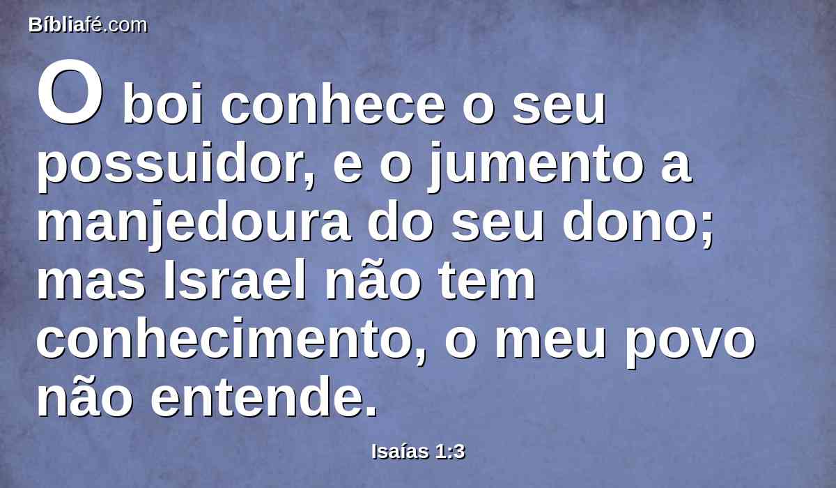 O boi conhece o seu possuidor, e o jumento a manjedoura do seu dono; mas Israel não tem conhecimento, o meu povo não entende.