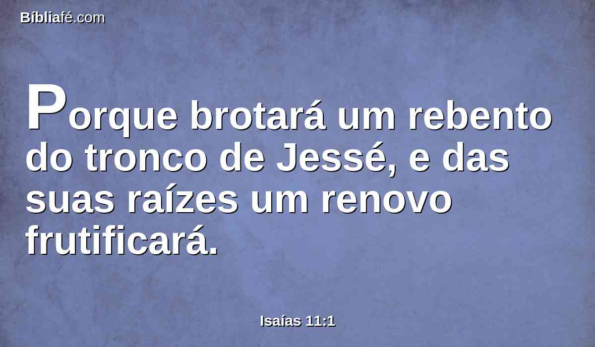 Porque brotará um rebento do tronco de Jessé, e das suas raízes um renovo frutificará.