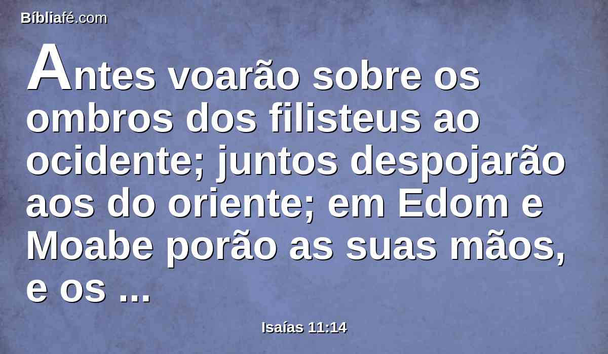 Antes voarão sobre os ombros dos filisteus ao ocidente; juntos despojarão aos do oriente; em Edom e Moabe porão as suas mãos, e os filhos de Amom lhes obedecerão.