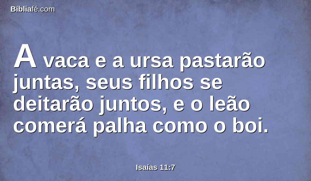 A vaca e a ursa pastarão juntas, seus filhos se deitarão juntos, e o leão comerá palha como o boi.