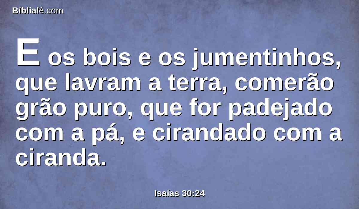 E os bois e os jumentinhos, que lavram a terra, comerão grão puro, que for padejado com a pá, e cirandado com a ciranda.