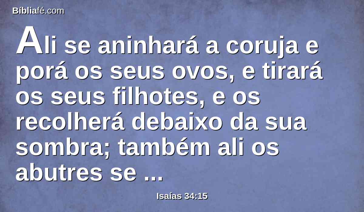 Ali se aninhará a coruja e porá os seus ovos, e tirará os seus filhotes, e os recolherá debaixo da sua sombra; também ali os abutres se ajuntarão uns com os outros.