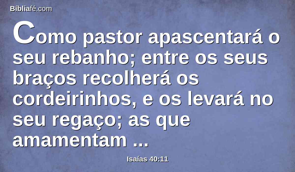 Como pastor apascentará o seu rebanho; entre os seus braços recolherá os cordeirinhos, e os levará no seu regaço; as que amamentam guiará suavemente.
