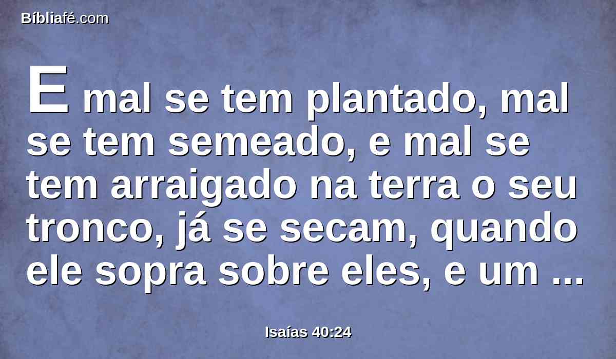 E mal se tem plantado, mal se tem semeado, e mal se tem arraigado na terra o seu tronco, já se secam, quando ele sopra sobre eles, e um tufão os leva como a pragana.