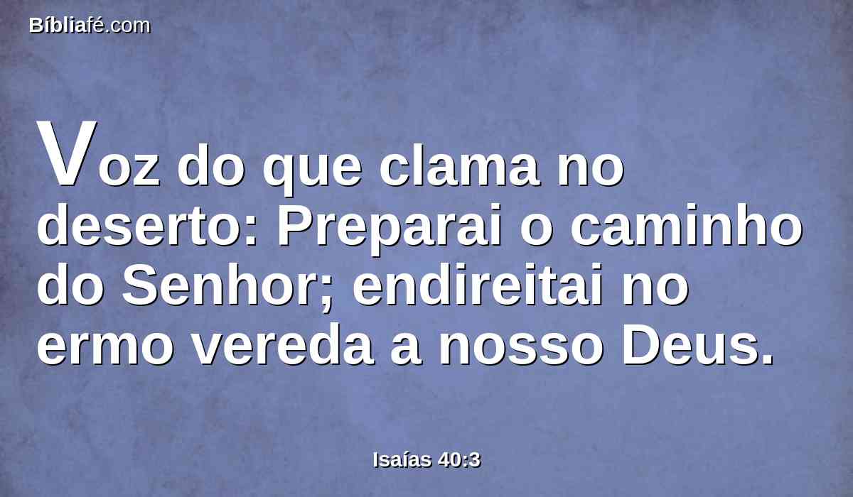 Voz do que clama no deserto: Preparai o caminho do Senhor; endireitai no ermo vereda a nosso Deus.
